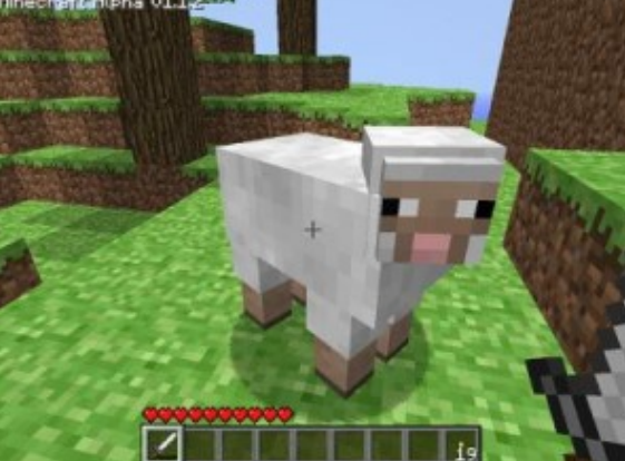 Как приручить овцу