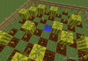 Minecraft как вырастить арбузы