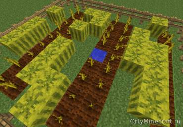 Minecraft как вырастить арбузы