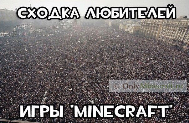 сходка любителей игры майнкрафт