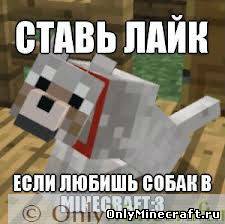 собачка