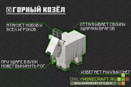 Minecraft PE 1.16.210.53